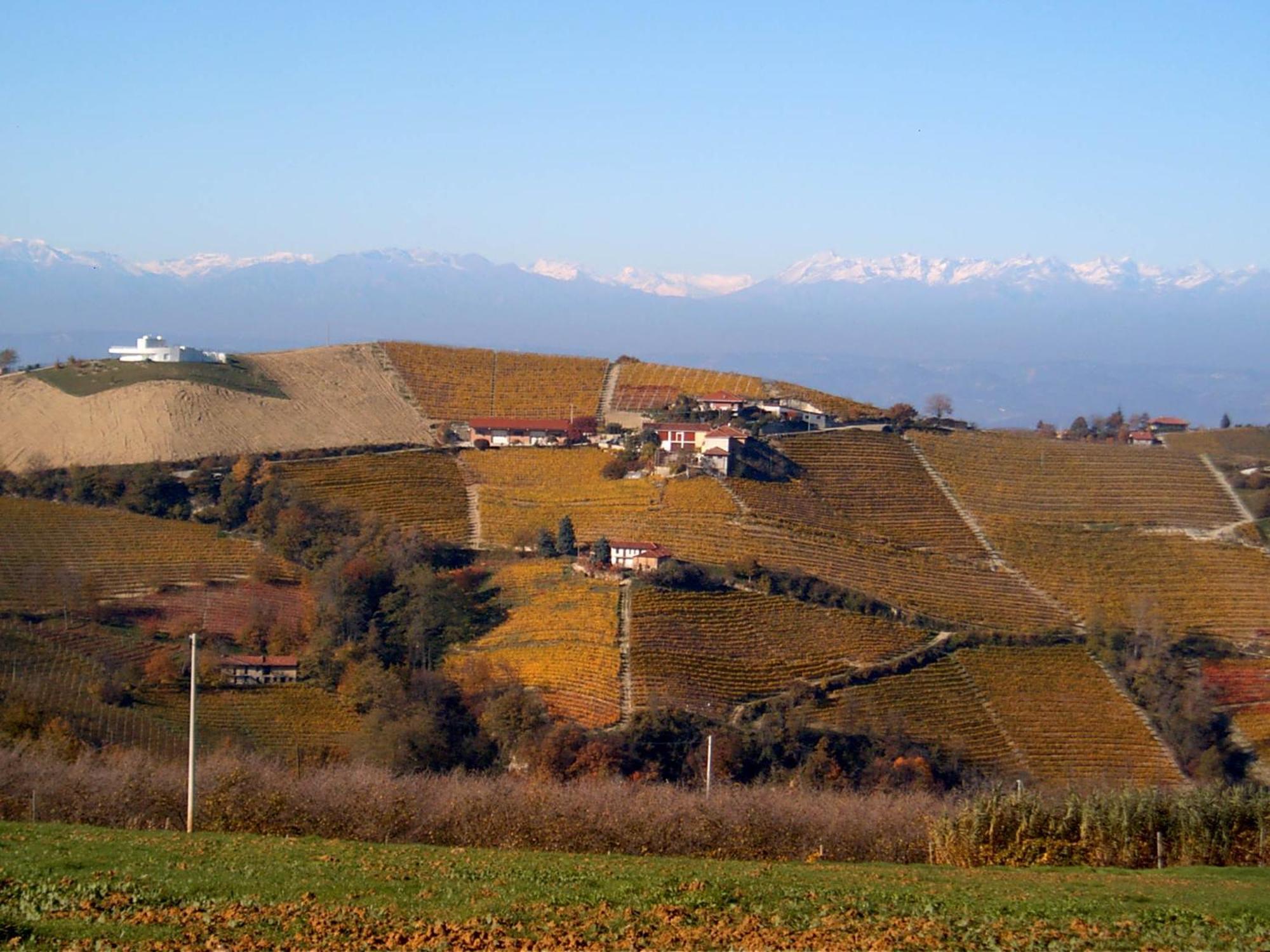 Agriturismo Finestre Di Langa Trezzo Tinella Экстерьер фото